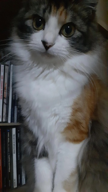 0cfdec86-ee49-4763-ba86-4f78b3e6de99