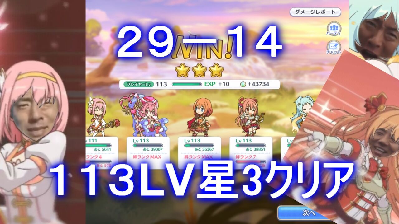 プリコネr 29 14 Normal を攻略 Lv113で星3クリア 動画 痛生活