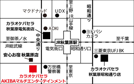 Akihabara_Multi_map