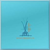 Acustimantico-LaBellaStagione