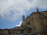 Urbino