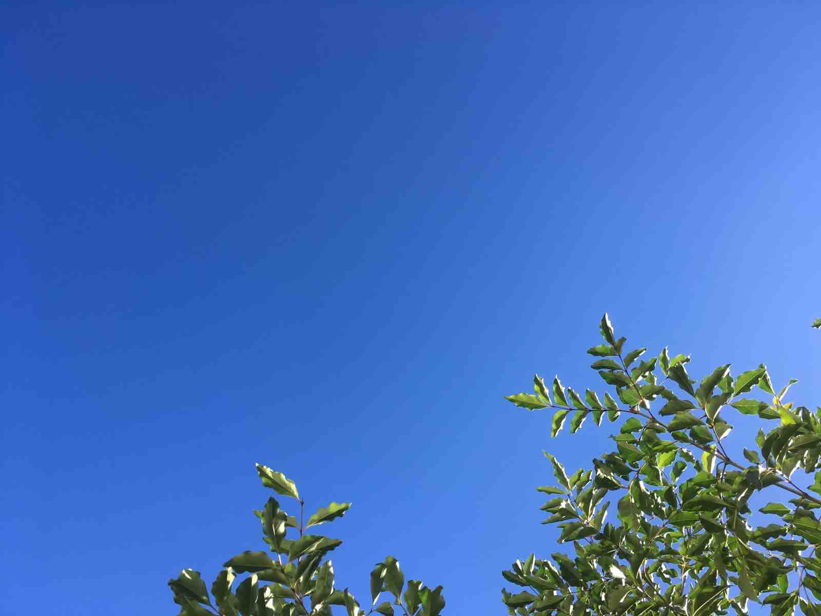 青く澄んだ空 功なき者の挑戦 伊丹康治blog