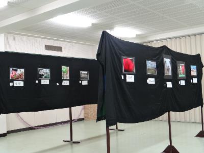 写真 展示「十人十色」