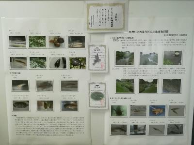 生物研究 展示「西高水族館」