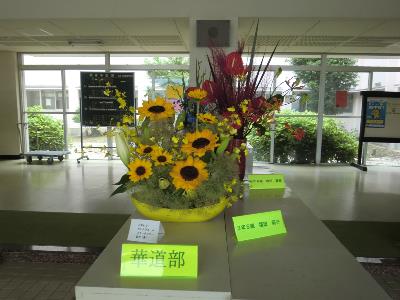 華道 展示「生け花の展示」