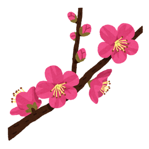flower_ume_kaika[1]