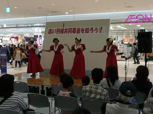 共募(フラ)
