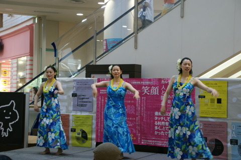 DSC02912
