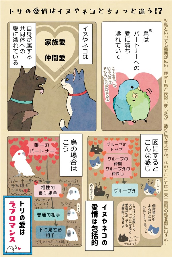 3ちょっと違う鳥の愛情