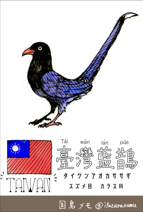 国鳥メモ 台湾 いたずらオウムの生活雑記