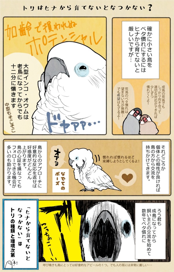 誤字再々修正1ヒナから育てないと?