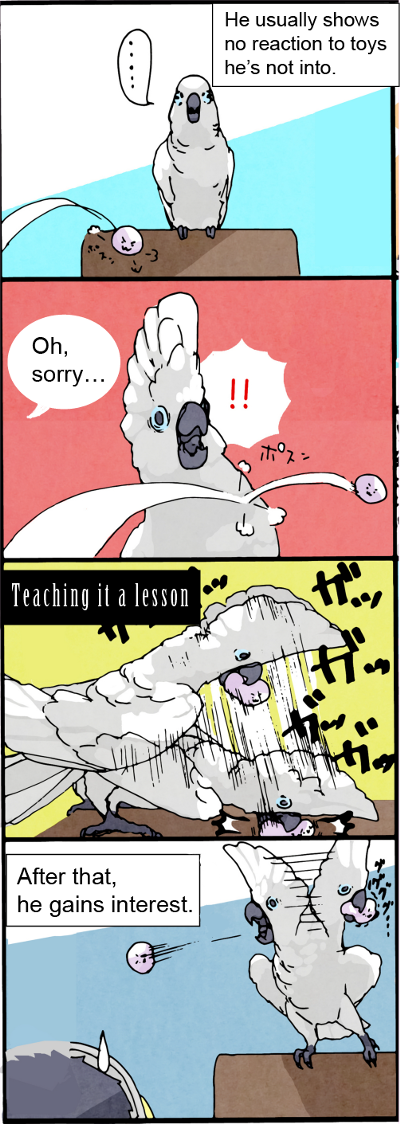 English_12