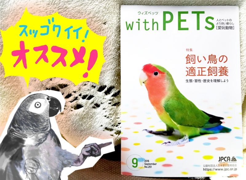 愛玩動物協会の鳥特集の雑誌が目茶苦茶良かったです いたずらオウムの生活雑記