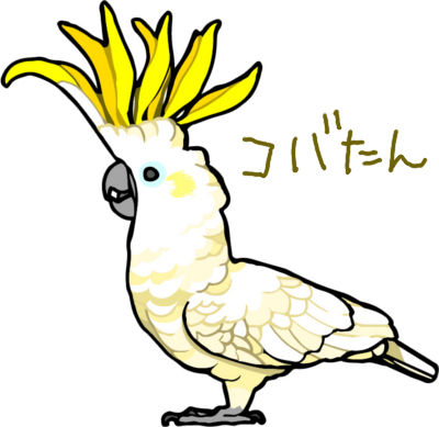 白色バタンコバタン