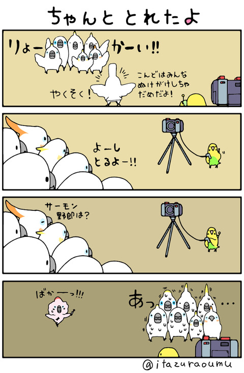 ふんわりオウム12