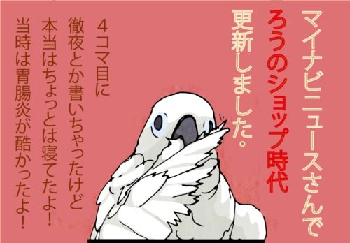 ろうショップ時代宣伝16