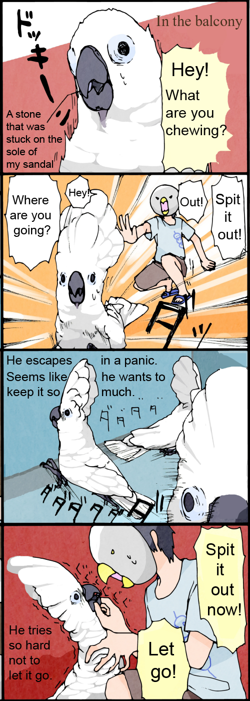 English_17