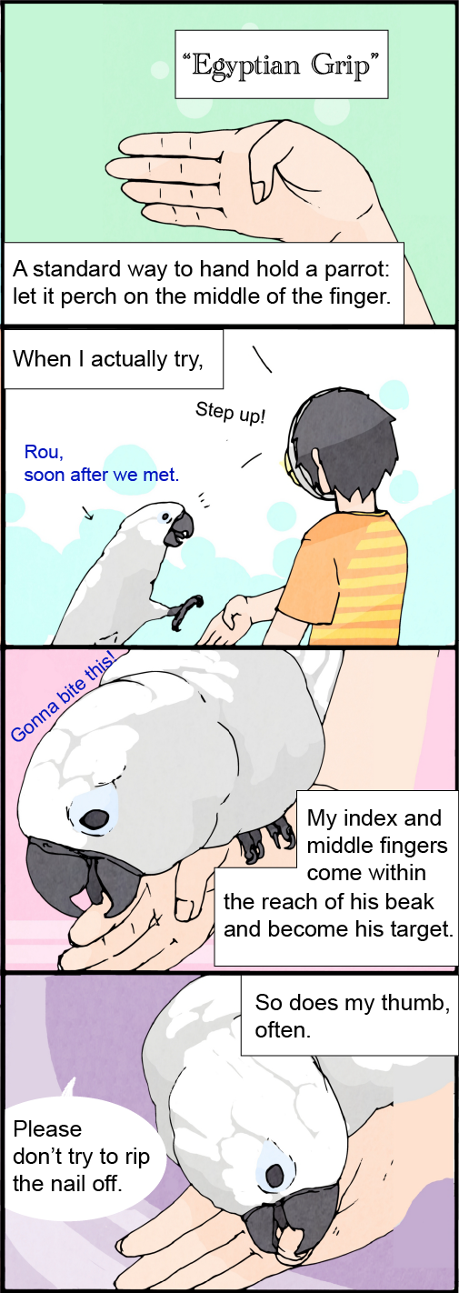 English_14