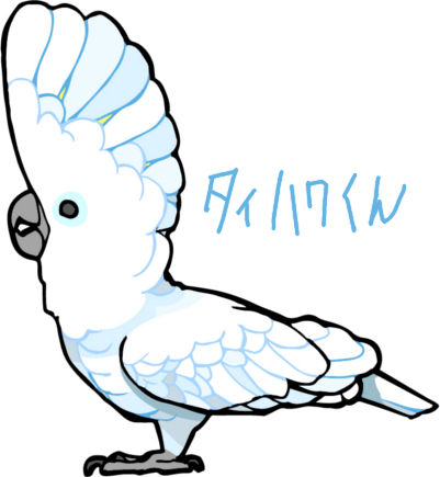 白色バタンタイハク
