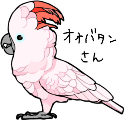 白色バタンオオバタン