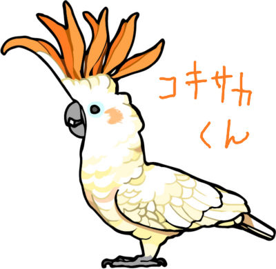 白色バタンコキサカ