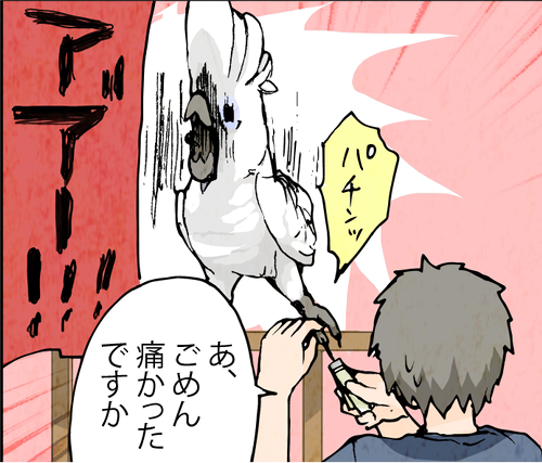2015_0626.png