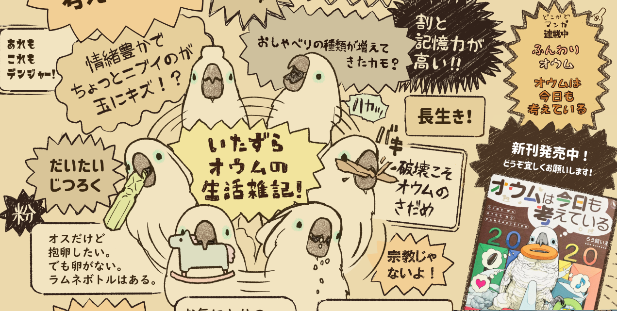 この後にわら半紙で遊ぶオウム いたずらオウムの生活雑記 この後にわら半紙で遊ぶオウム いたずらオウムの生活雑記