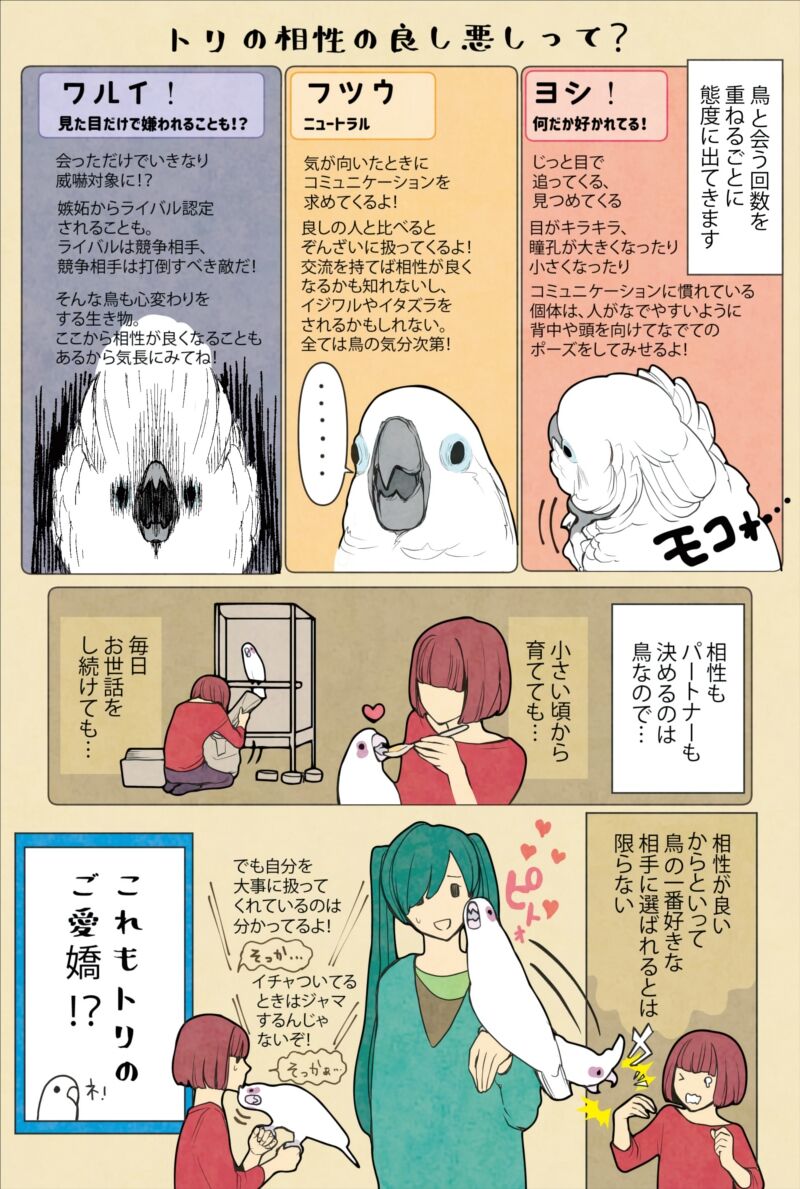 番外編 トリトピックまとめました 新刊のお知らせ いたずらオウムの生活雑記