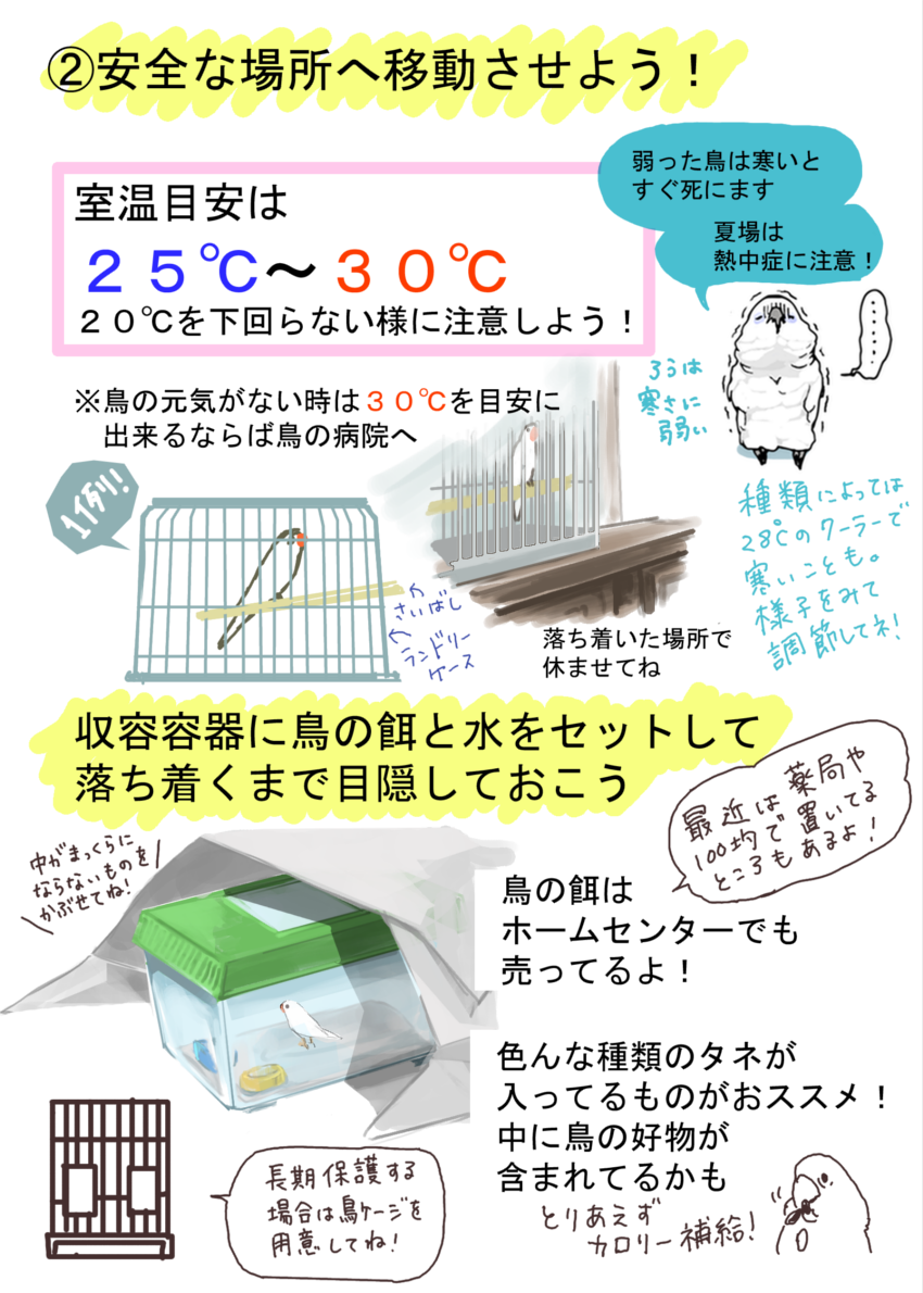 ペットの鳥 小型 中型 を保護した時の対処方法まとめ いたずらオウムの生活雑記