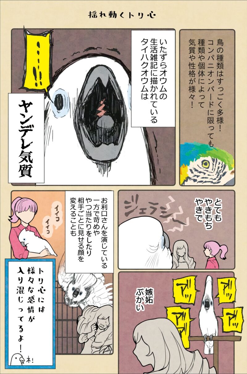 番外編 トリトピックまとめました 新刊のお知らせ いたずらオウムの生活雑記