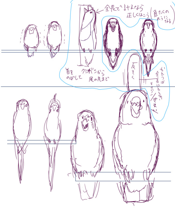 建築知識２０１８年９月号の鳥イラスト描かせて頂きました いたずらオウムの生活雑記 Powered By ライブドアブログ