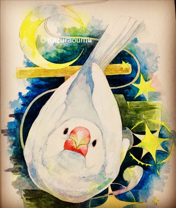 水彩 白文鳥 紫陽花 いたずらオウムの生活雑記