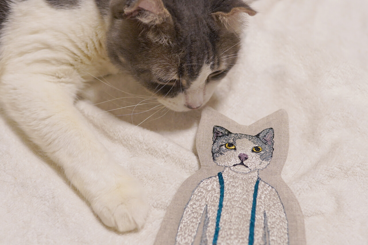 Coral&Tusk」の“ポケットドール型ねこポーチ”。 : 空カフェ Coral&Tusk」の“ポケットドール型ねこポーチ”。 : 空カフェ