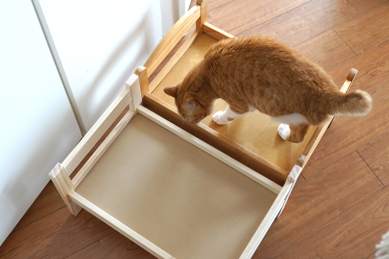 3coinsとikeaの ペットベッド を比較 空カフェ ゆる猫との暮らし Powered By ライブドアブログ