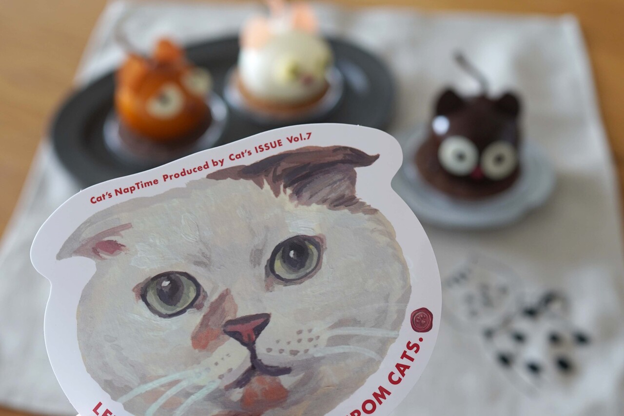 世界猫の日に『原宿キャットストリート』という“ねこケーキ。 空カフェ ～ゆる猫との暮らし～ Powered by ライブドアブログ