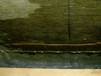 7a26d02c.jpg