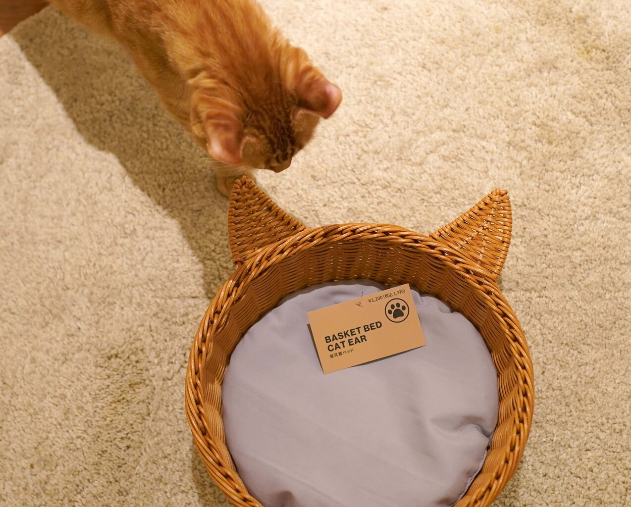 3coinsの ねこ耳かごベッド がかわいい 空カフェ ゆる猫との暮らし Powered By ライブドアブログ 3coinsの ねこ耳かごベッド がかわいい 空カフェ ゆる猫との暮らし Powered By ライブドアブログ