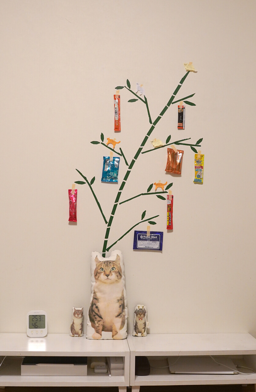 ねこと七夕 空カフェ ゆる猫との暮らし Powered By ライブドアブログ ねこと七夕 空カフェ ゆる猫との暮らし Powered By ライブドアブログ