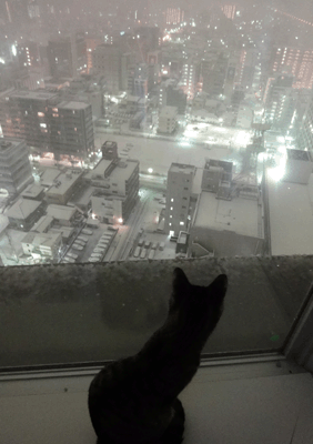 雪
