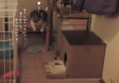 続・いっくんの “それゆけ 一球入魂 ”-baby7