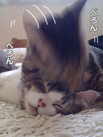 続・いっくんの “それゆけ 一球入魂 ”-なめ１