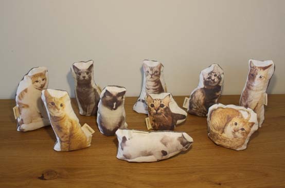 ミニクッション1