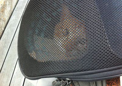 続・いっくんの “それゆけ 一球入魂 ”-海1