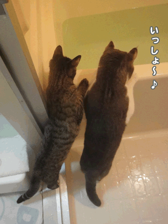 続・いっくんの “それゆけ 一球入魂 ”-一緒2