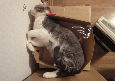 続・いっくんの “それゆけ 一球入魂 ”-切れ目4