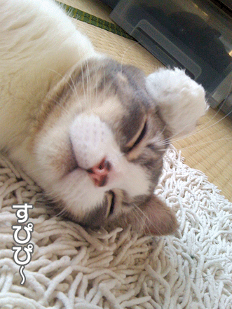 続・いっくんの “それゆけ 一球入魂 ”-mimi2