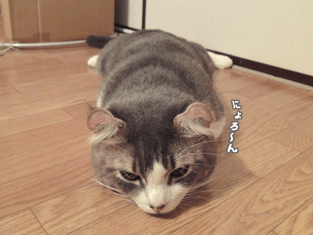 続・いっくんの “それゆけ 一球入魂 ”-首3