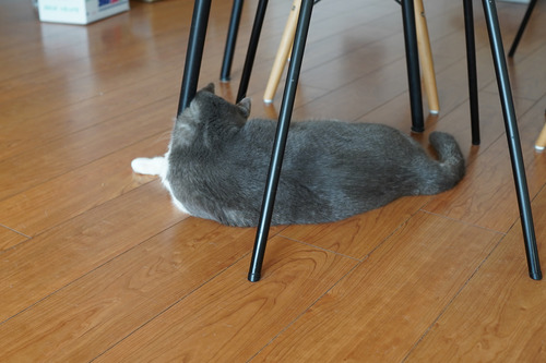 193