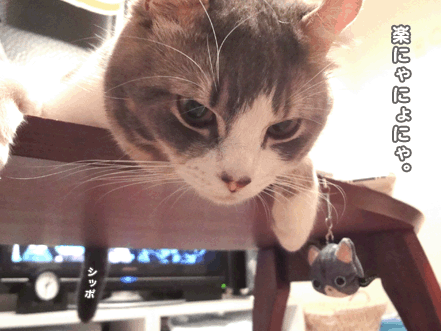 続・いっくんの “それゆけ 一球入魂 ”-こう見えて3