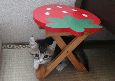 続・いっくんの “それゆけ 一球入魂 ”-うぶ